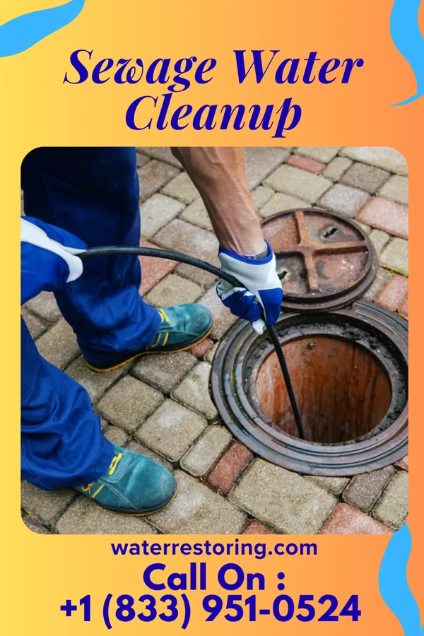Sewage Water Cleanup in Lowell, KS